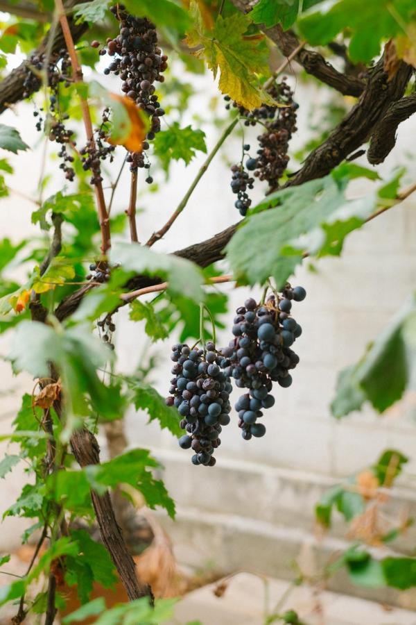 Masseria Torremossa 파사노 외부 사진