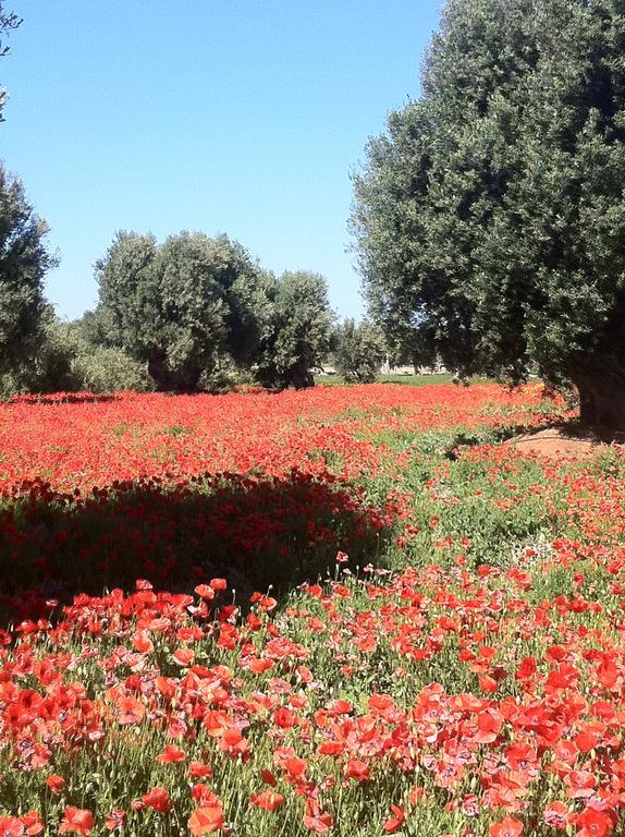 Masseria Torremossa 파사노 외부 사진