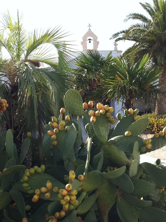 Masseria Torremossa 파사노 외부 사진