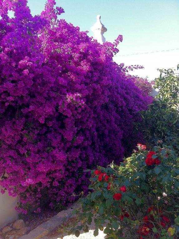 Masseria Torremossa 파사노 외부 사진